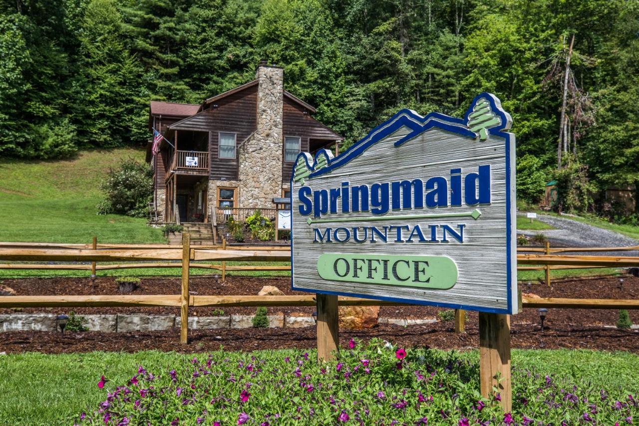 Villa Springmaid Mountain à Spruce Pine Extérieur photo